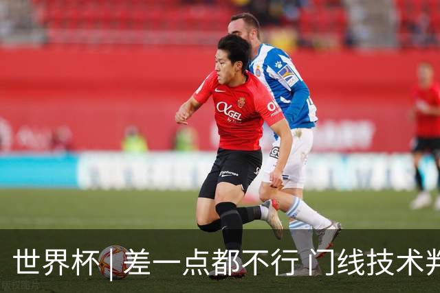 世界杯 | 差一点都不行 门线技术判定日本队并未进球